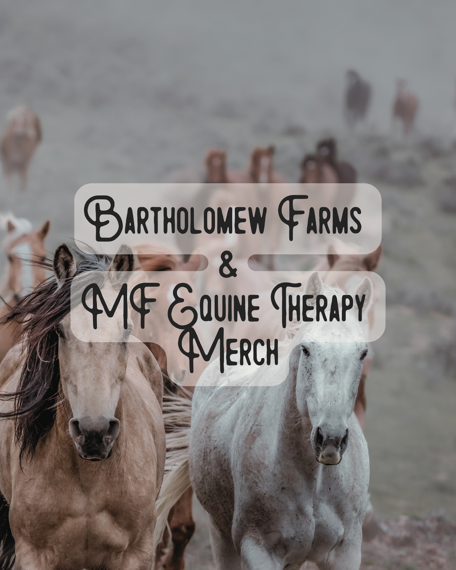 Bartholomew Farms & MF Equine Therapy Merch