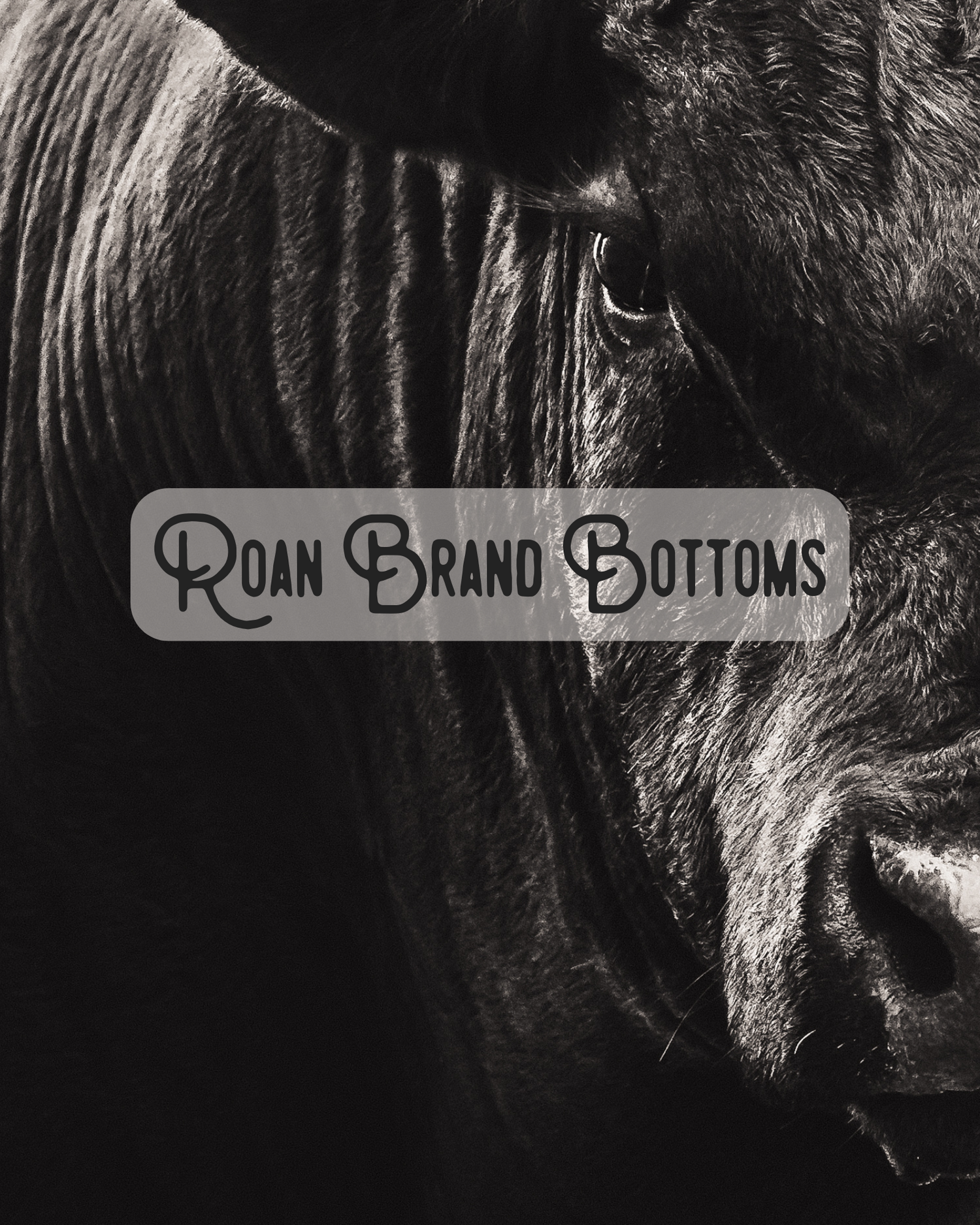 Roan Brand Bottoms